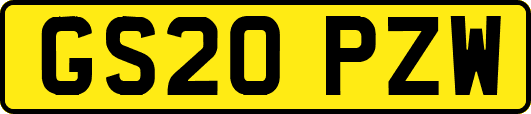 GS20PZW