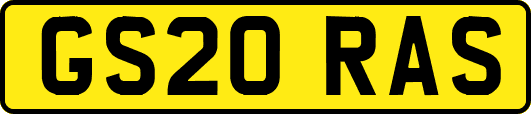 GS20RAS