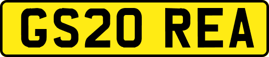 GS20REA