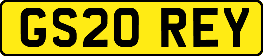 GS20REY