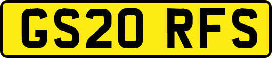 GS20RFS