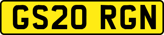GS20RGN