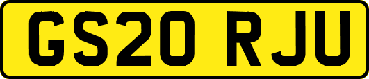 GS20RJU