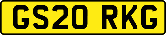 GS20RKG