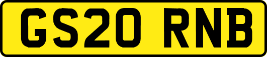 GS20RNB