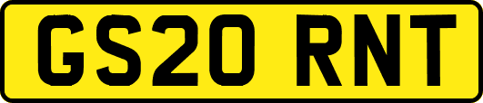 GS20RNT
