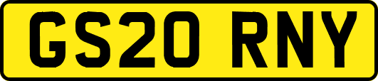 GS20RNY