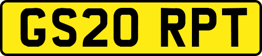 GS20RPT