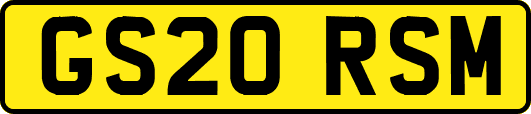 GS20RSM