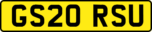 GS20RSU
