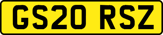 GS20RSZ
