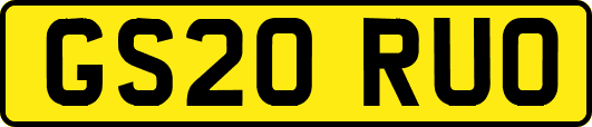 GS20RUO