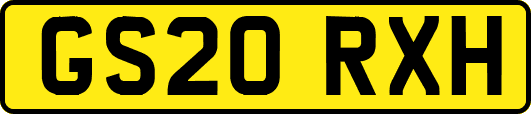 GS20RXH