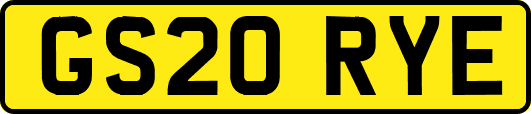GS20RYE