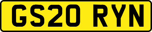 GS20RYN