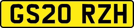 GS20RZH