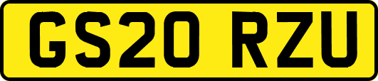 GS20RZU