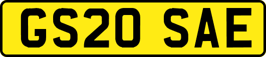 GS20SAE