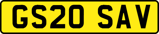 GS20SAV