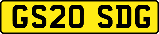 GS20SDG