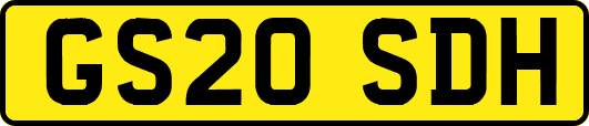 GS20SDH