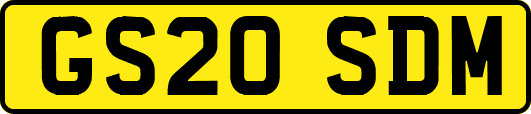 GS20SDM