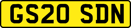 GS20SDN