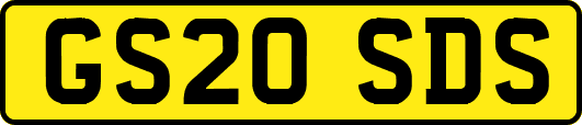 GS20SDS