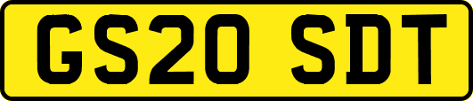 GS20SDT