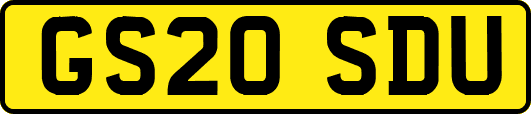 GS20SDU