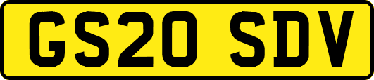 GS20SDV