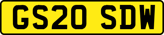 GS20SDW