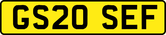 GS20SEF