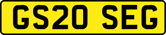 GS20SEG