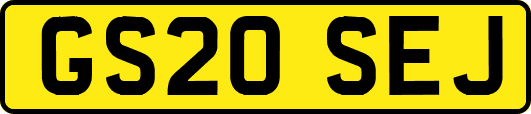 GS20SEJ