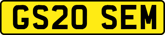 GS20SEM