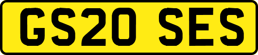 GS20SES