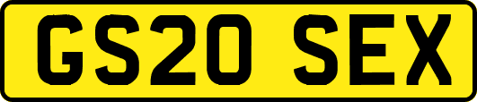 GS20SEX