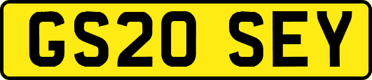 GS20SEY