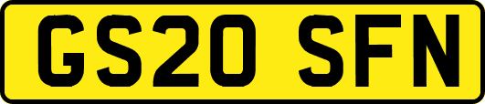 GS20SFN