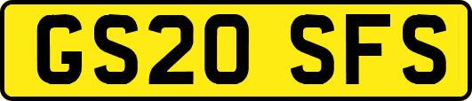 GS20SFS