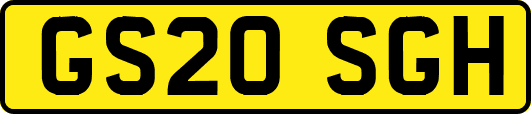 GS20SGH