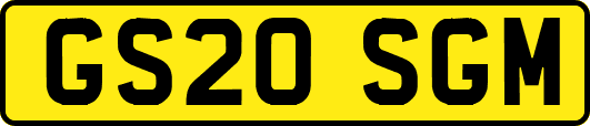 GS20SGM
