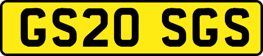GS20SGS