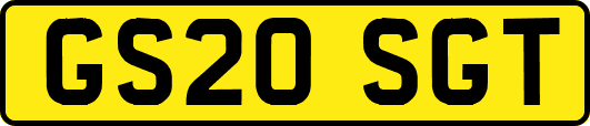 GS20SGT