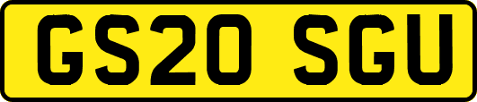 GS20SGU