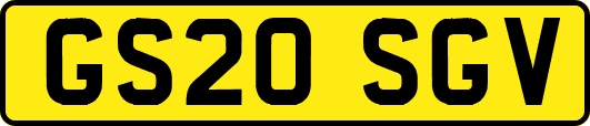 GS20SGV