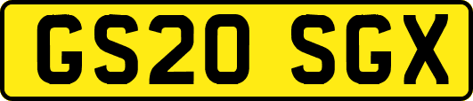 GS20SGX