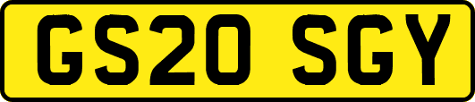 GS20SGY