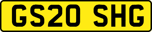 GS20SHG